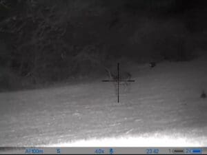 Öösihiku Pulsar Digex N450 ekraanitõmmis