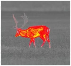 Pulsar värviprofiil: Hot Red