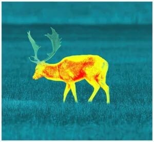 Pulsar värviprofiil: Rainbow